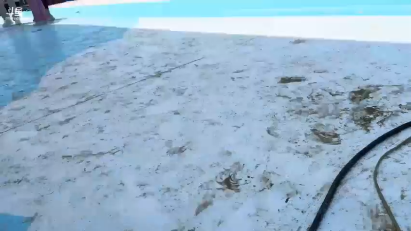 【2024-07-21 11点场】南波儿大魔王丶：快乐向前冲我们来啦！