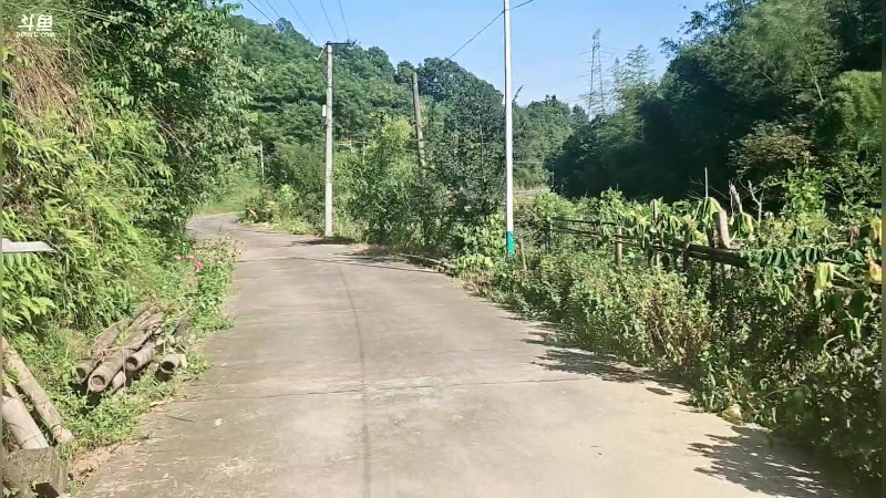 【2024-07-23 16点场】别问问就黑皮：下午俩点直播～