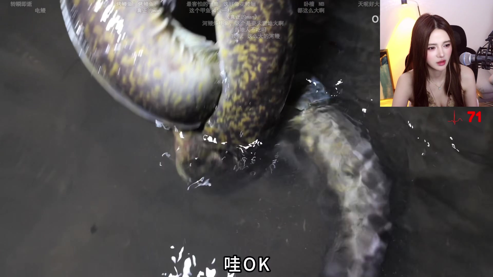 【2024-07-23 22点场】野生小谭：斗鱼素质女主播