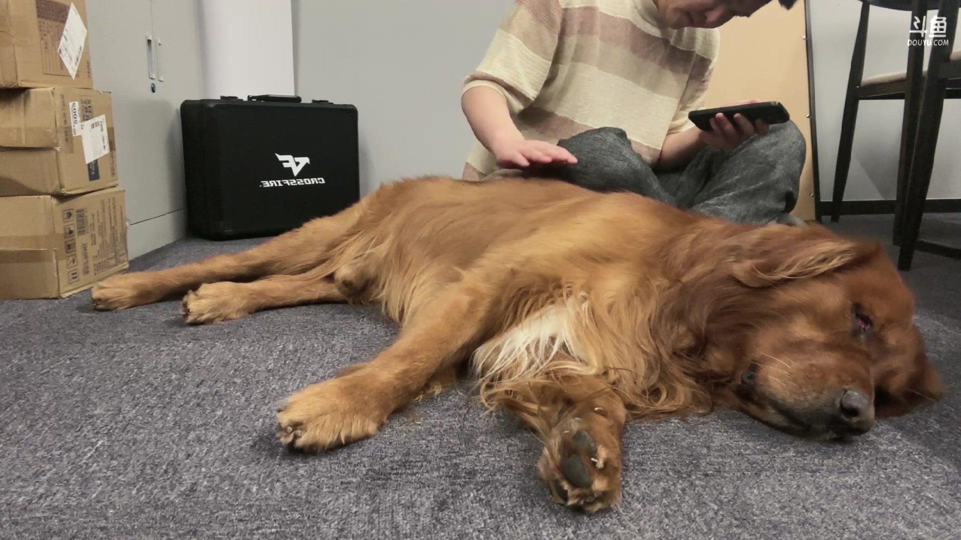 【2024-07-29 20点场】XR年鹏Enpi：开整，看看今天怎么事儿