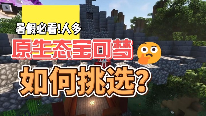 暑假必看!原生态宝可梦怎么选!人多,热闹,原生态!