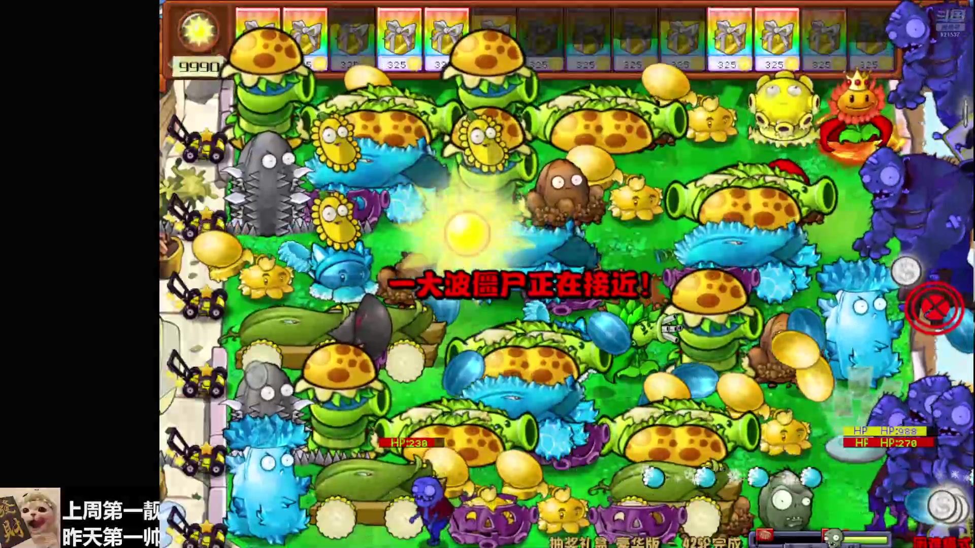 【2024-08-07 00点场】番茄1949丶：带粉，速度，美女一个
