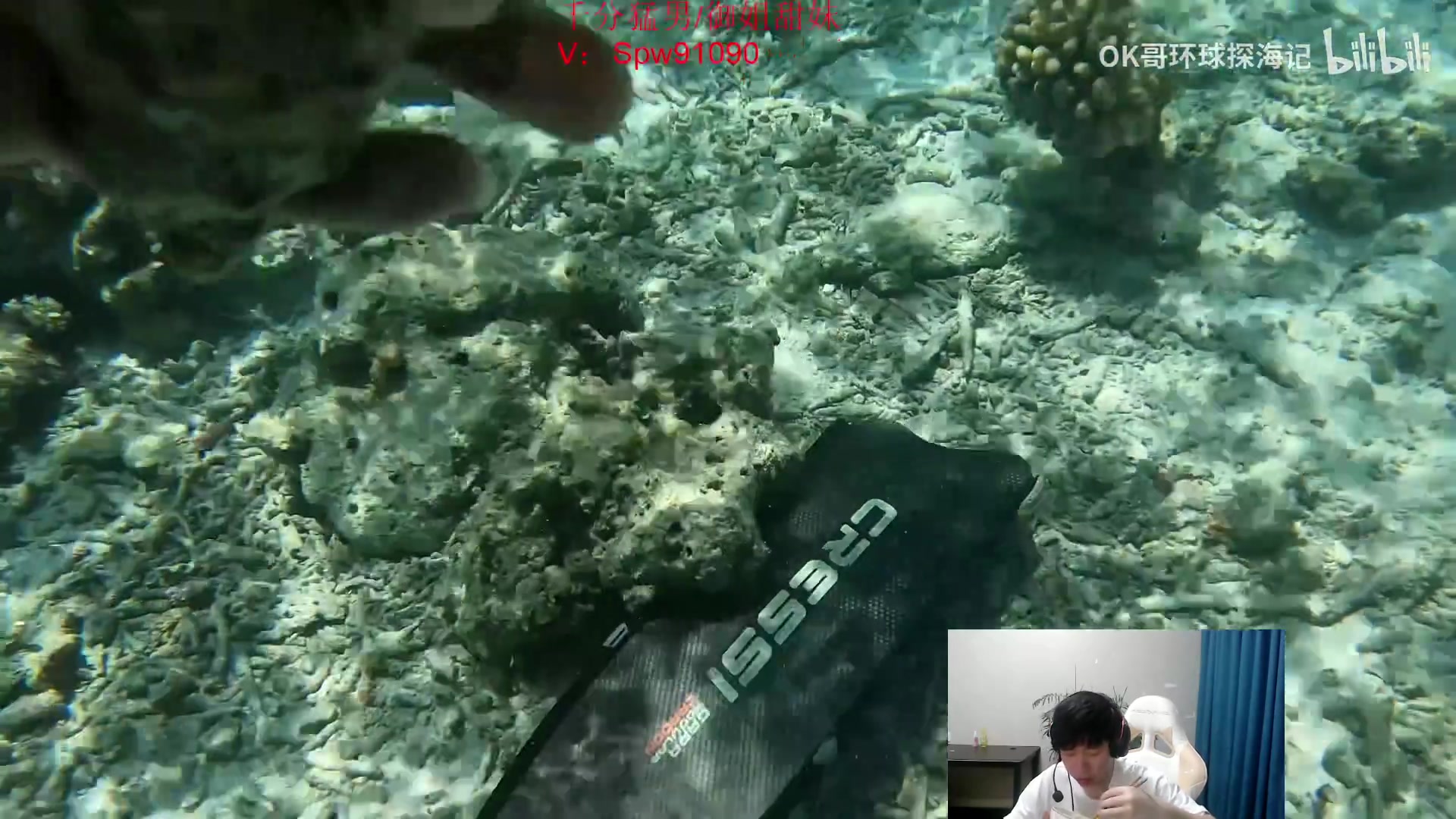 【2024-08-08 02点场】zzc啊哦额：双倍亲密度~一元粉丝牌