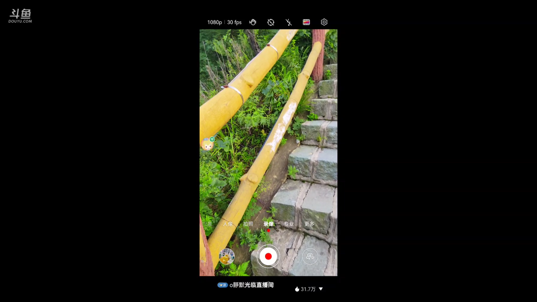 【2024-08-05 18点场】绅士闪闪：大佬任务 只狼 双难 受苦