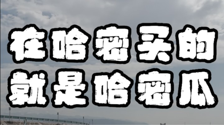 在哈密买的哈密瓜-杭州返程之旅第七篇