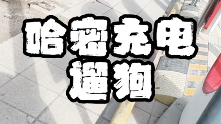 哈密充电遛狗-杭州返程之旅第五篇