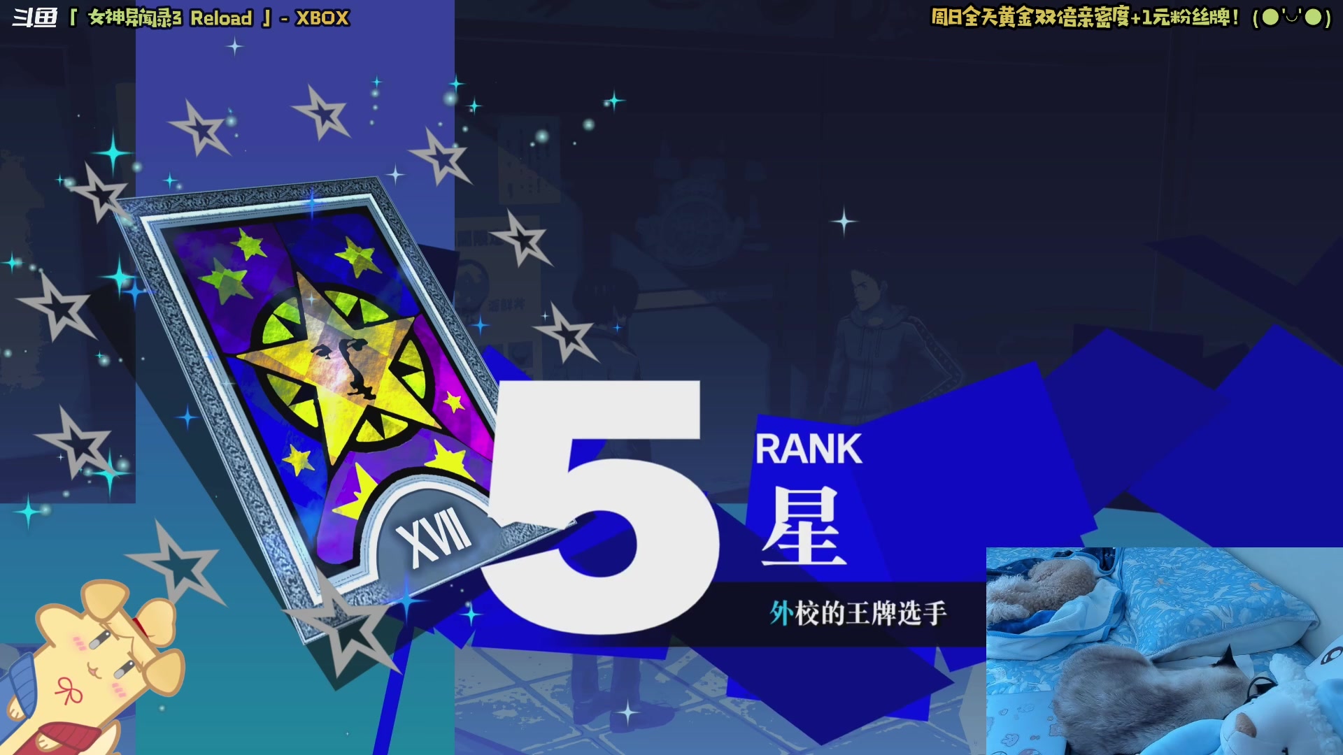 【2024-08-04 11点场】哈尼她姐：【黄金双倍+1元粉丝牌】P3R！