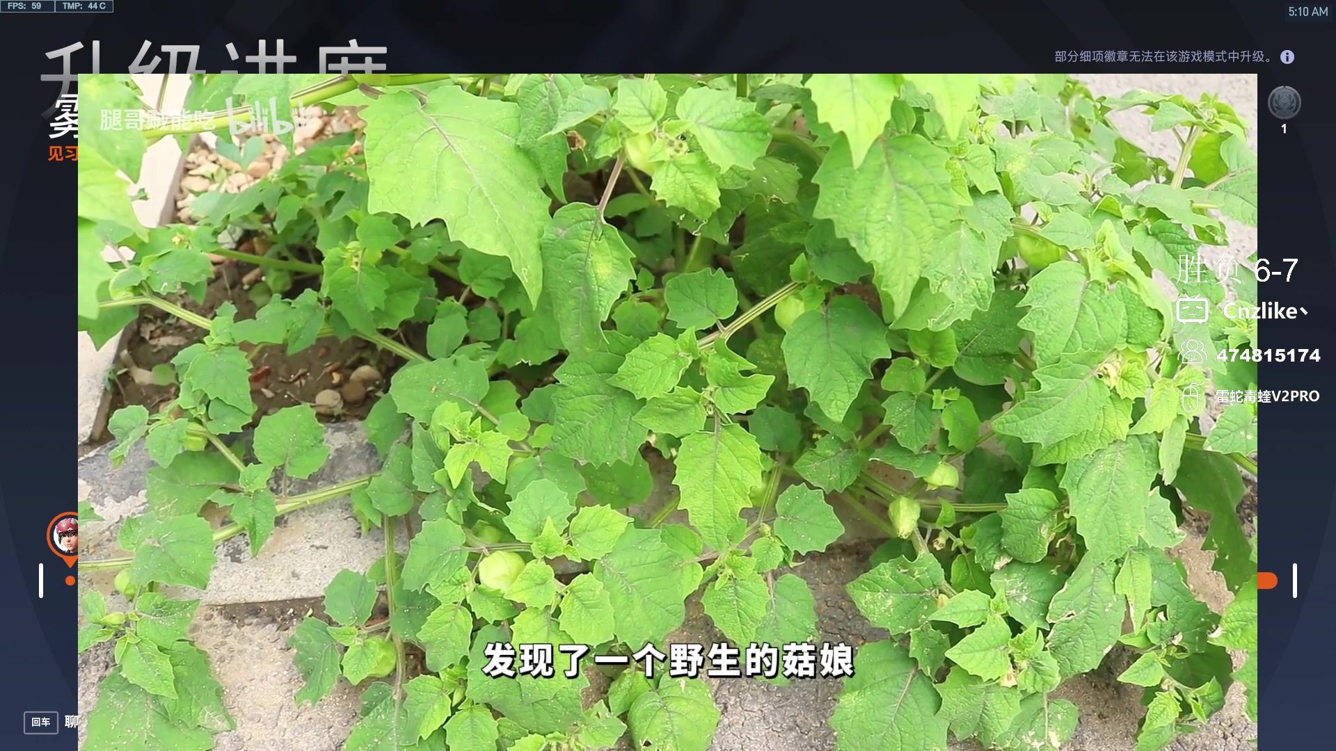 【2024-08-08 04点场】Cnzlike：源氏坐牢流！