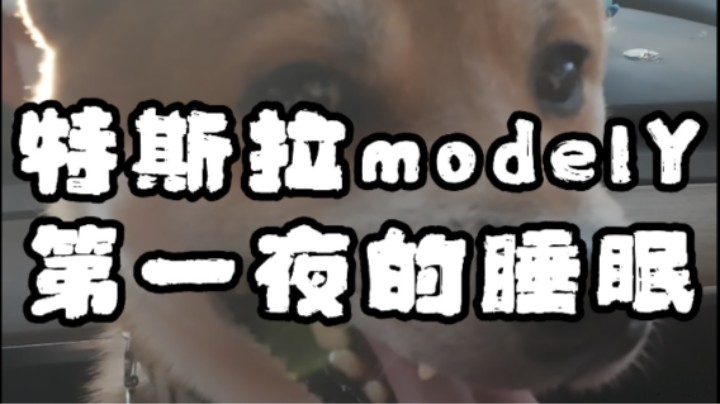 在modely的第一晚-杭州返程之旅第十二篇