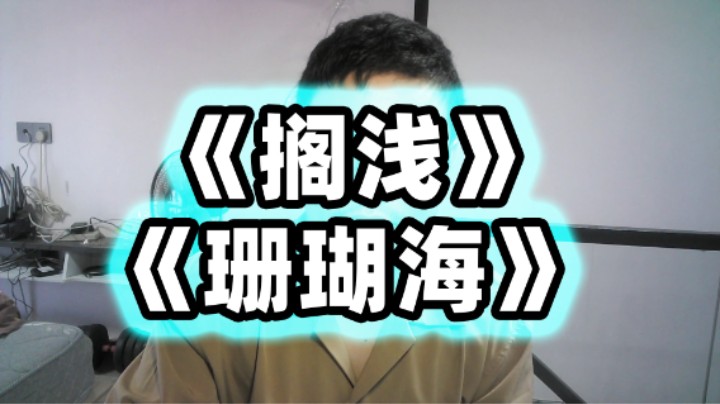 《搁浅》《珊瑚海》2024年8月9号