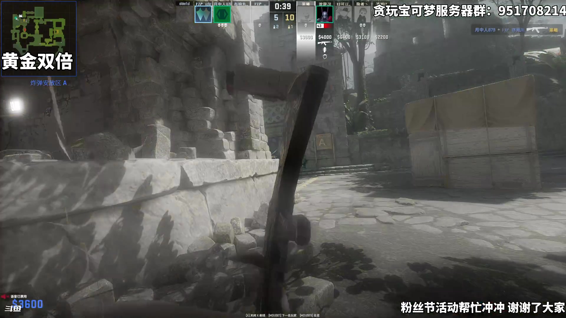 【2024-08-11 22点场】隐者丶丶：【小蜜蜂】这里很有意思 快进来坐