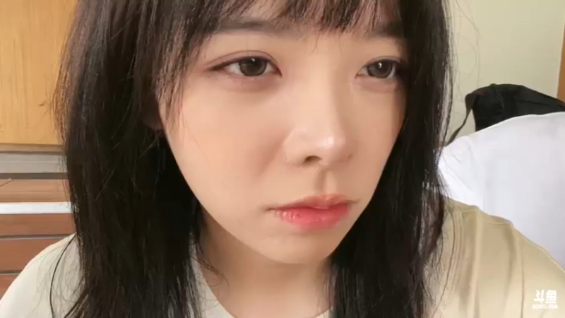 【2024-08-12 15点场】童猪啊i：今天下午户外！！！！