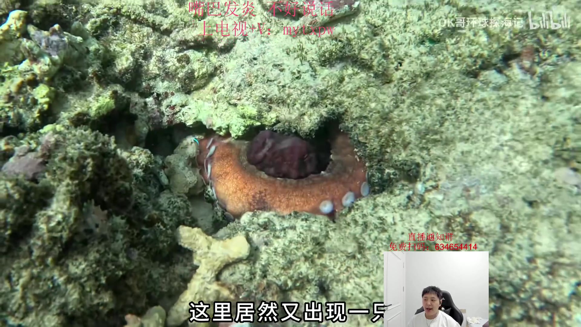 【2024-08-09 07点场】Jz0w0：【Jzad】免费扫码环节