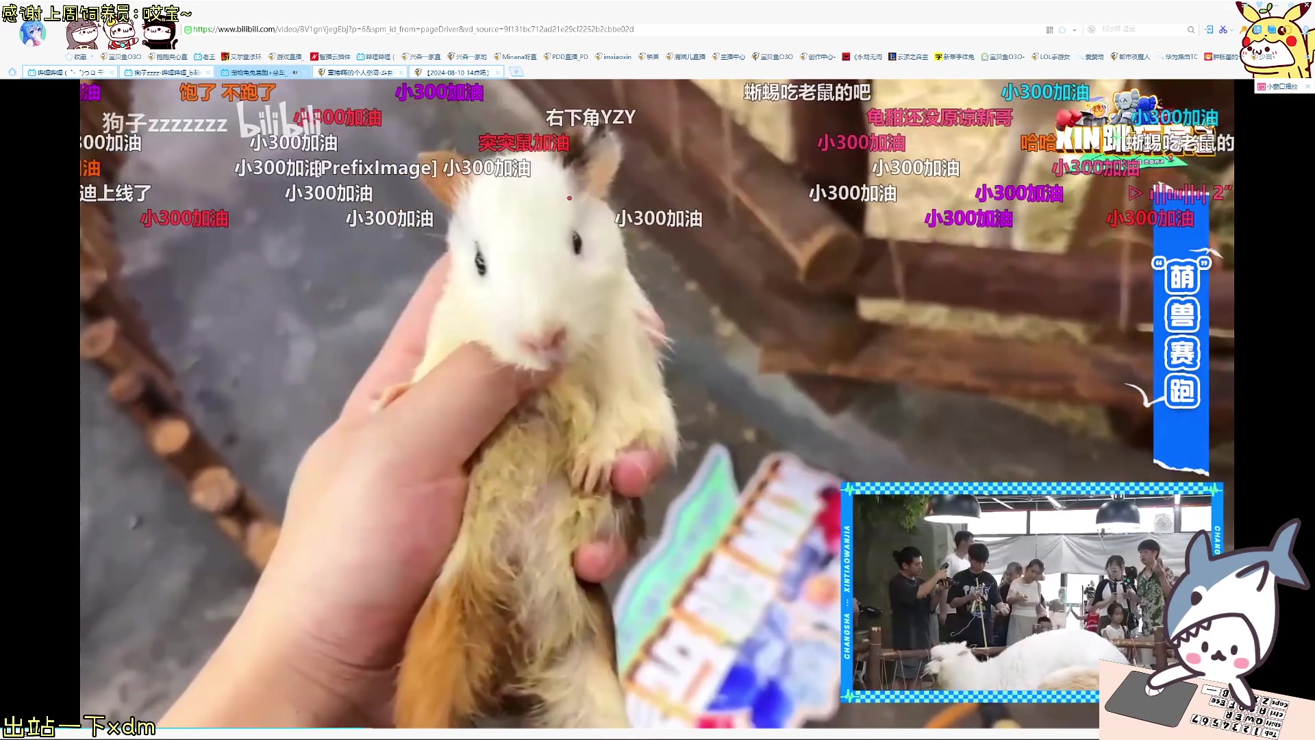 【2024-08-13 15点场】宝贝鱼O3O：耶 可以see我最喜欢的心跳2噜~