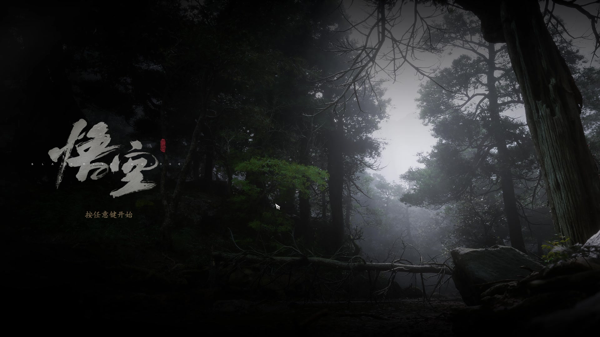 【2024-08-13 21点场】琼斯小卫：【胆小勿入】-恐怖《九龙城寨》惊魂首播