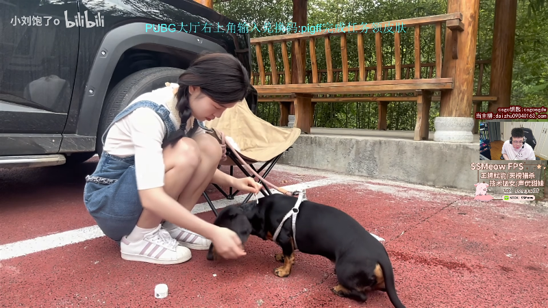 这是我剪辑的pigff的直播精彩时刻，快来看看吧~