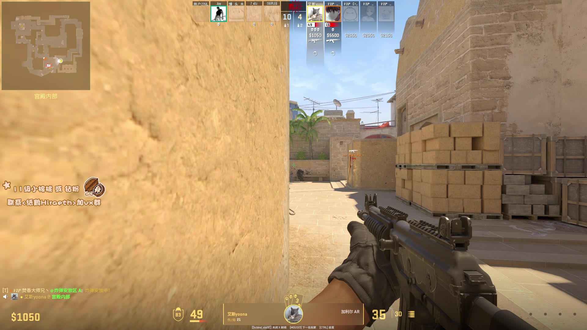 【2024-08-14 23点场】sakira丶hao：今天4+2 莎莎莎！！！