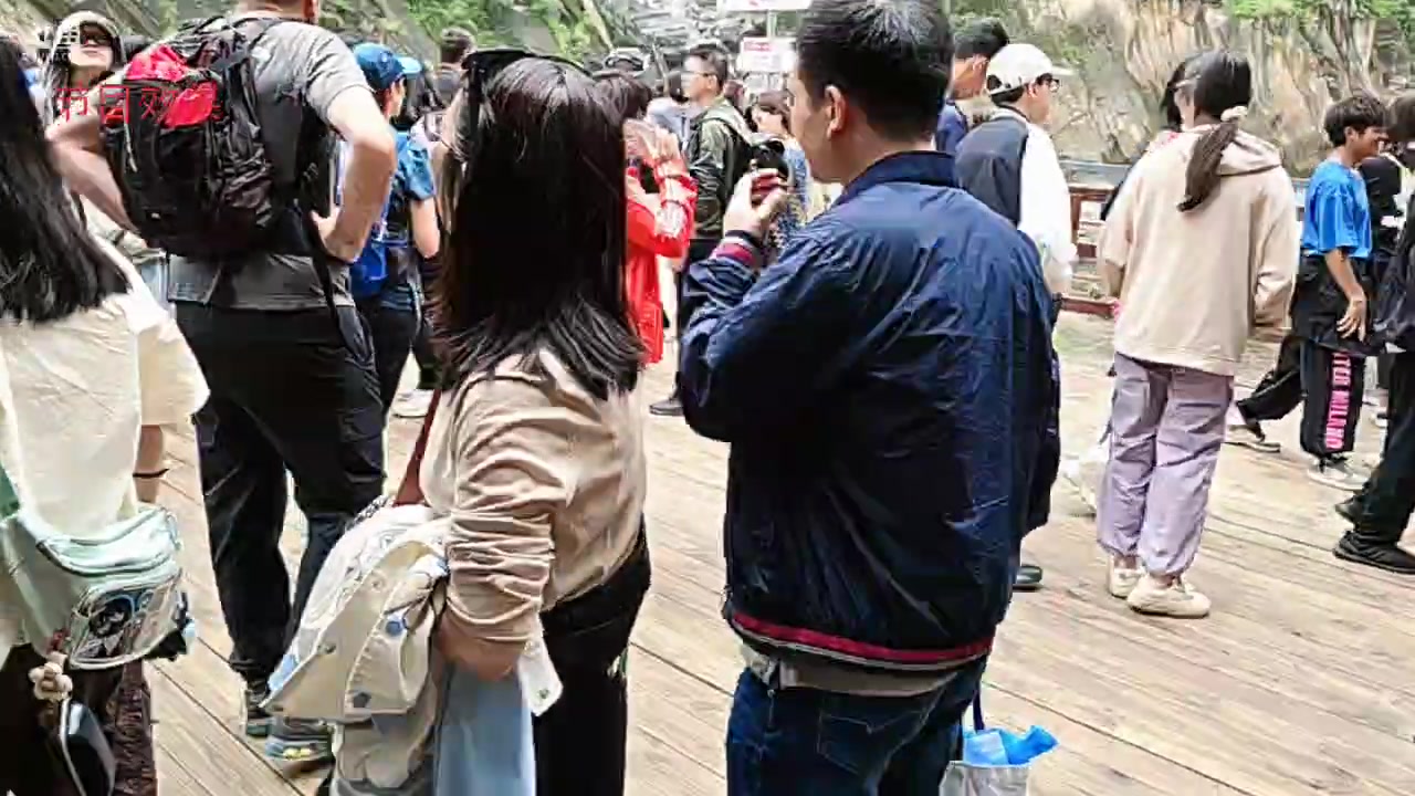 【2024-08-16 10点场】王大谋119：云南之旅Day3！生日快乐！