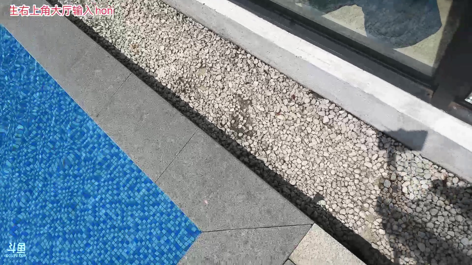 【2024-08-15 11点场】轰轰仔：轰轰：day0 先吃再桌游