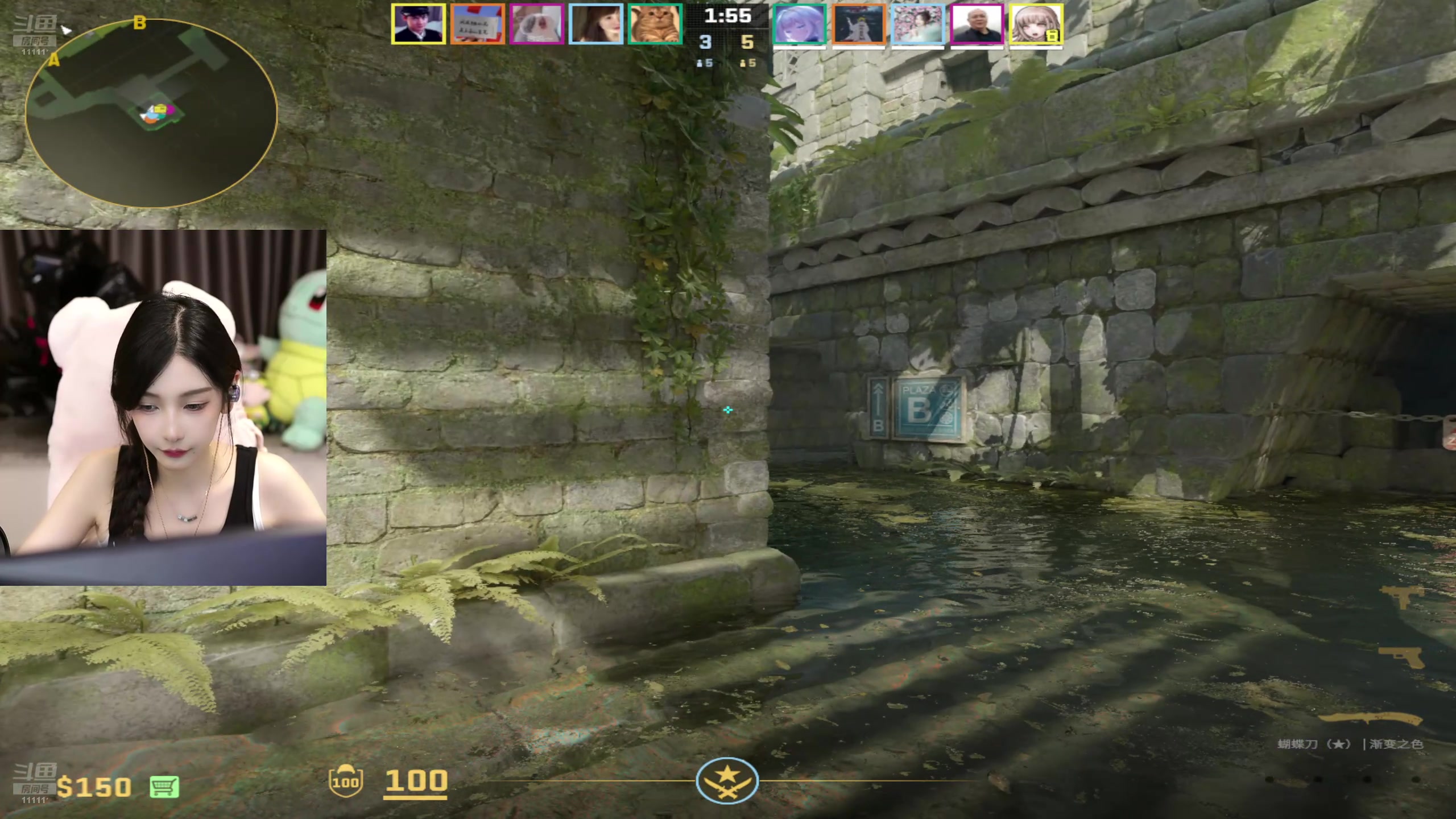 【2024-08-15 23点场】叶知秋Vanessa：秋：晚上好