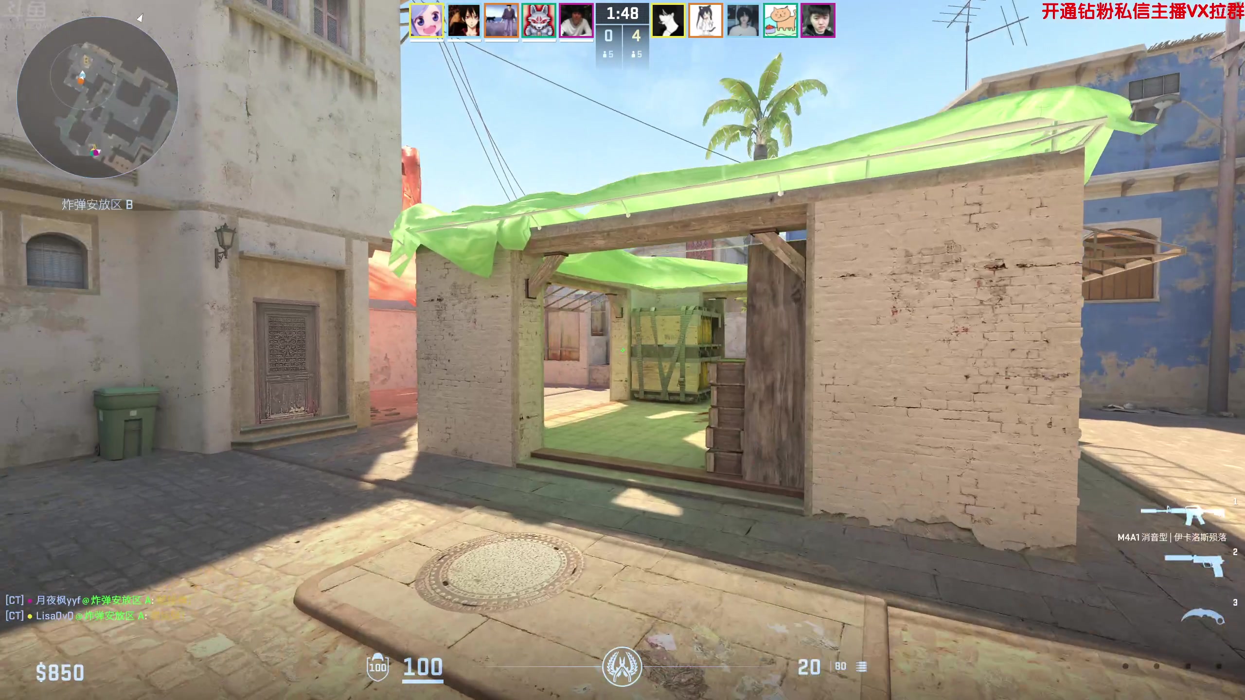 【2024-08-18 15点场】谢彬DD：喂,在吗?进来看Show了.