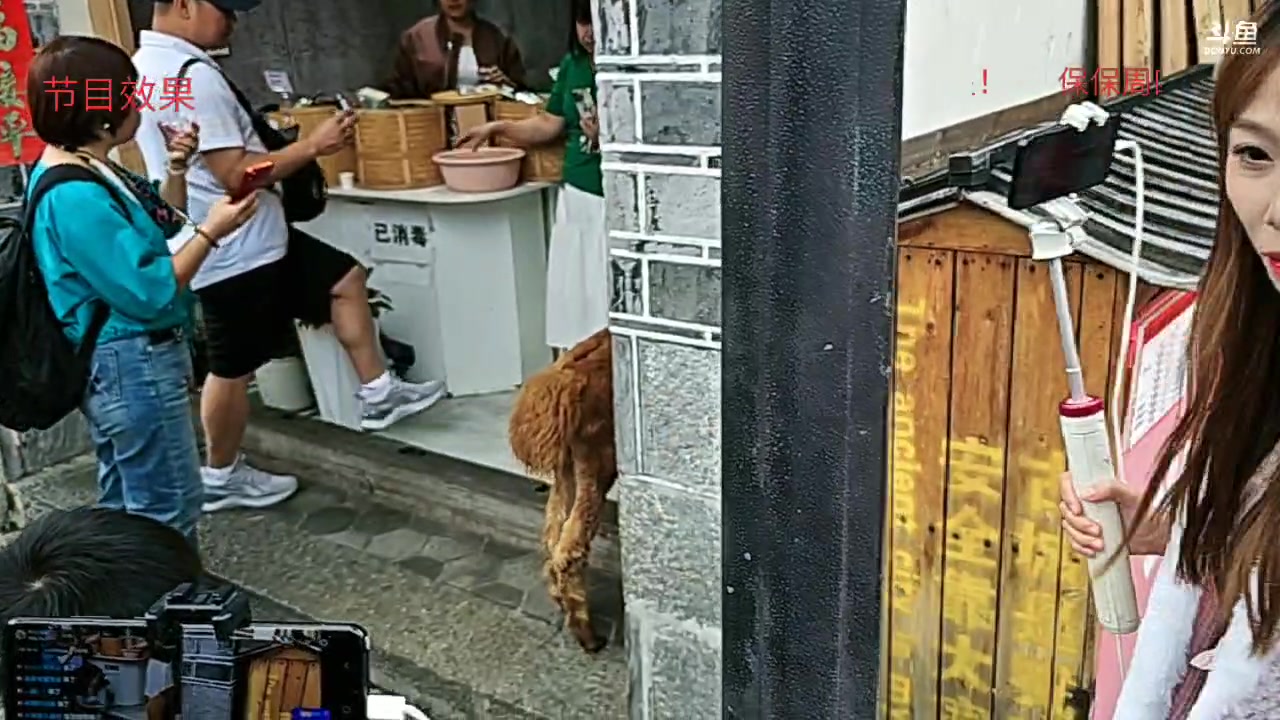 【2024-08-18 17点场】王大谋119：云南之旅Day5！保保福星吧!
