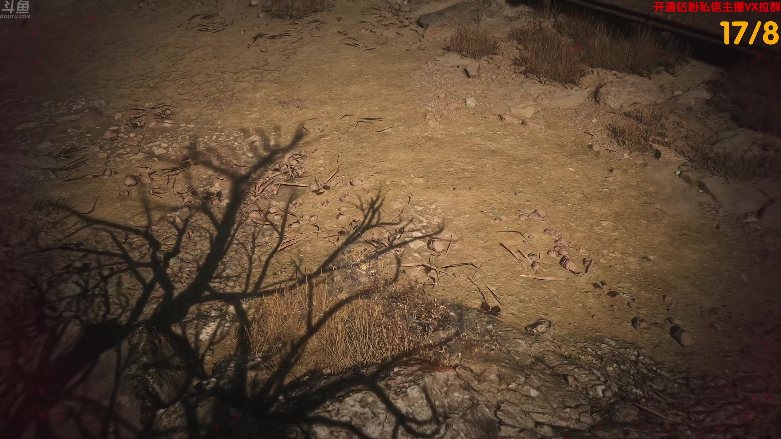 【2024-08-20 14点场】谢彬DD：喂,在吗?进来看Show了.