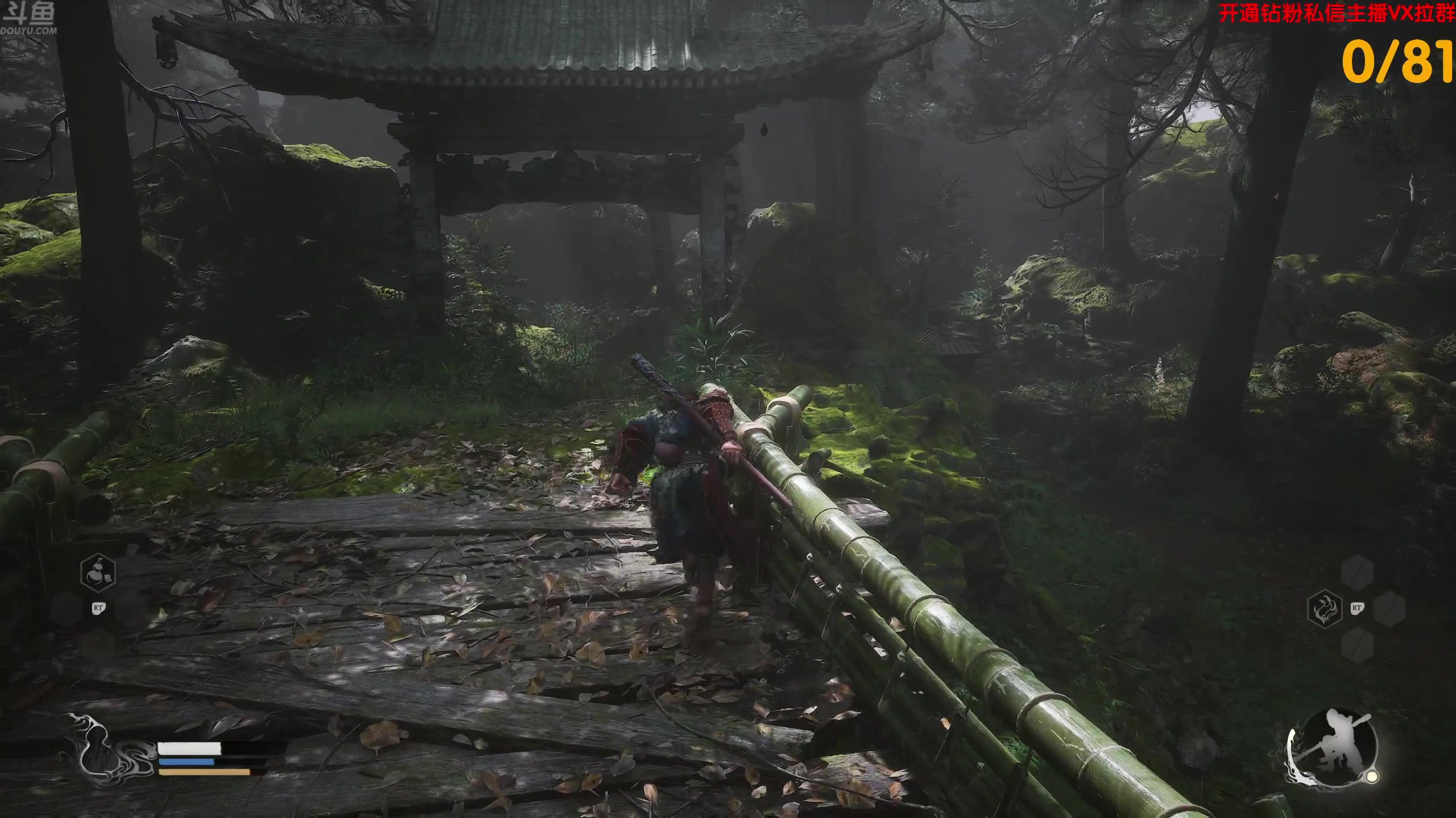 【2024-08-20 10点场】谢彬DD：喂,在吗?进来看Show了.