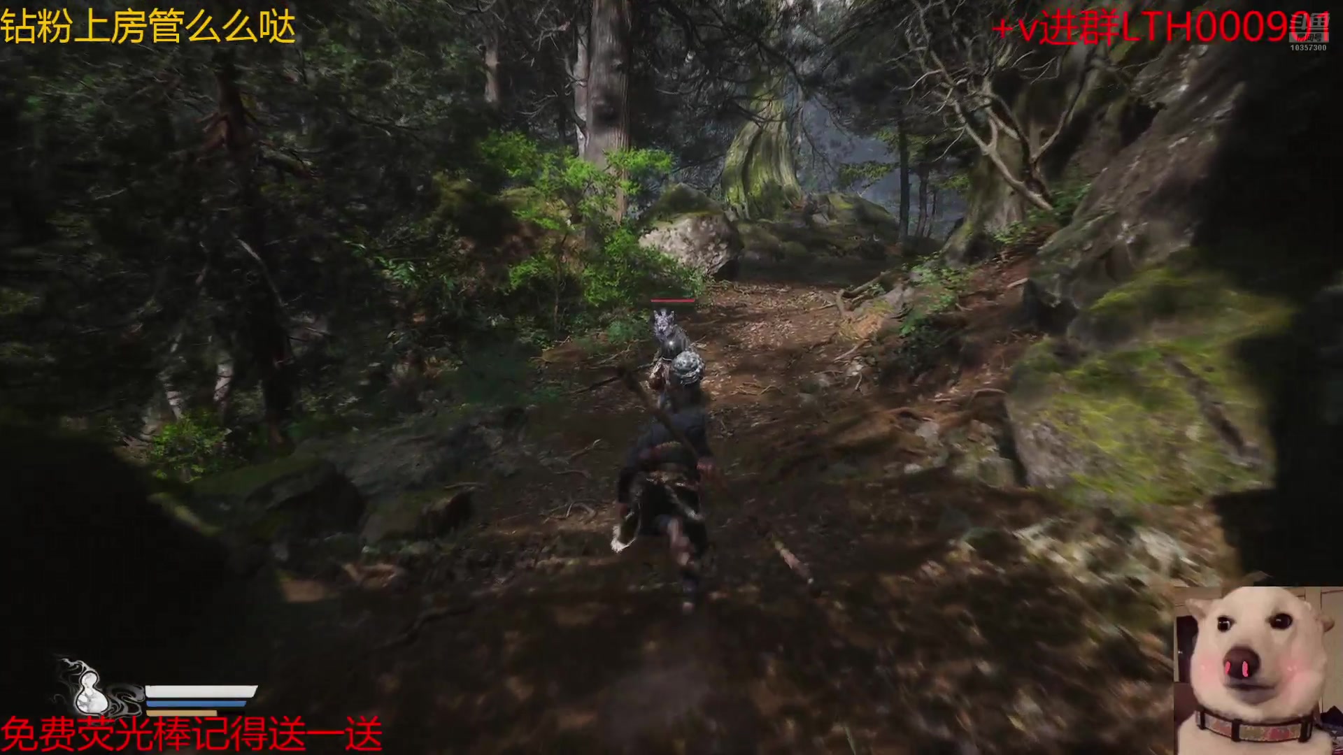 【2024-08-20 09点场】是猫咪吖丶：吗喽来咯 么么哒