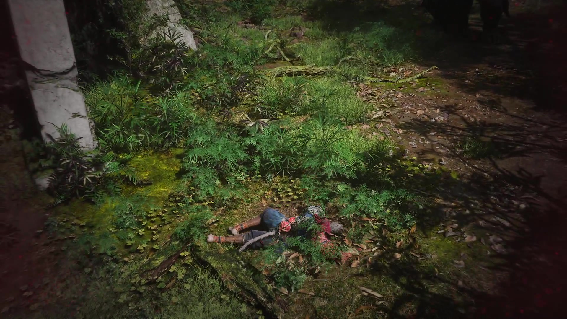 【2024-08-20 19点场】巴格拉斯：热爱生活，走进巴叔