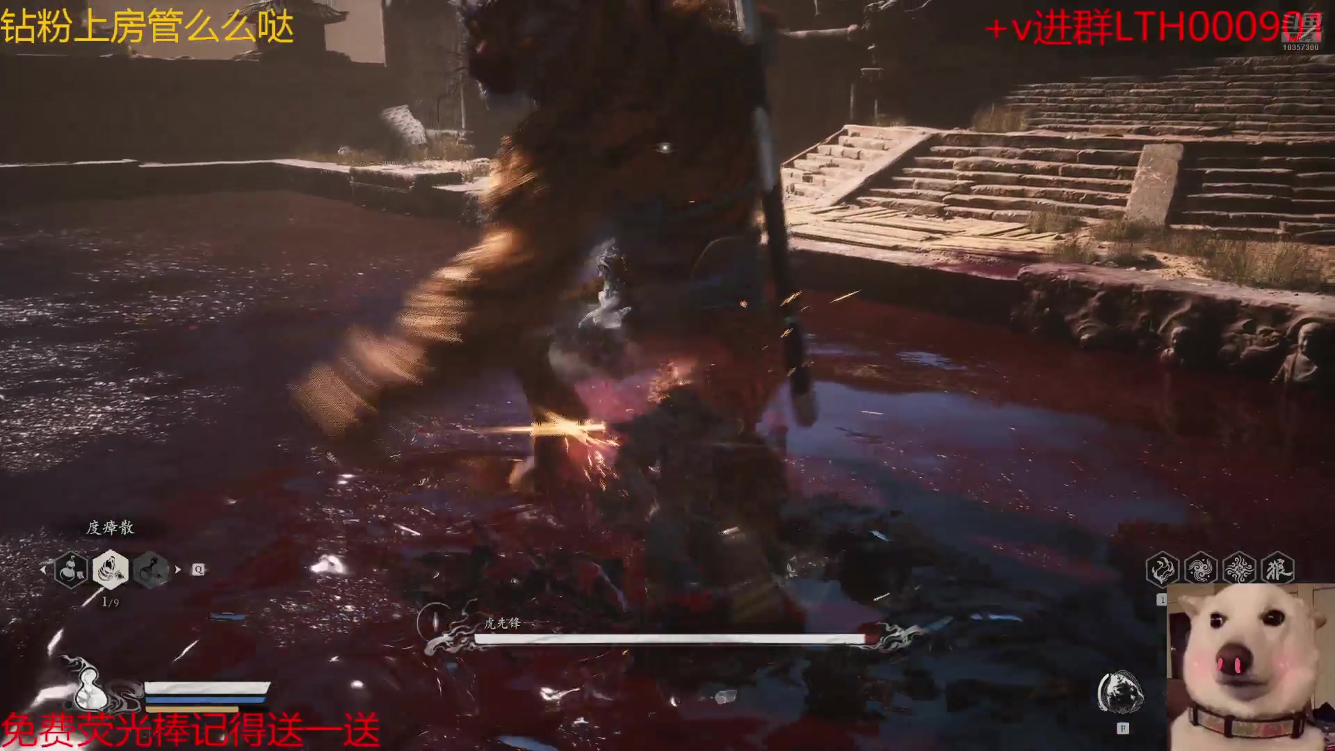 【2024-08-20 15点场】是猫咪吖丶：吗喽来咯 么么哒