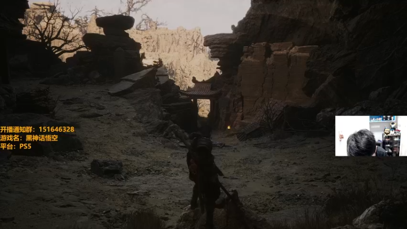 【2024-08-20 20点场】解说雨童：解说雨童：直面天命！