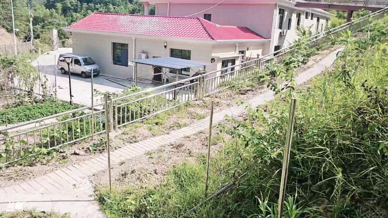 【2024-08-20 14点场】唐6儿：【小奶团】基地测信号下车开播