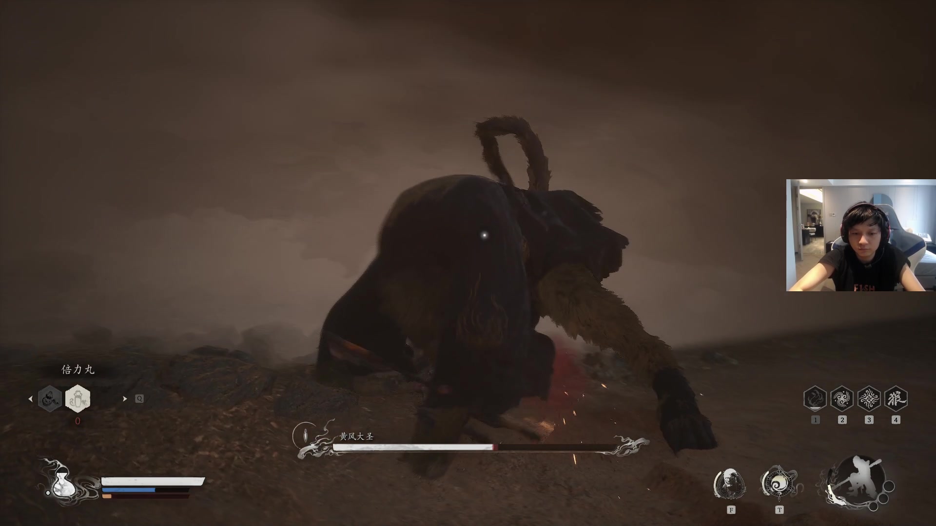 【2024-08-21 08点场】斗帝Yang：启动  开修！