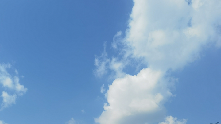 【2024-8-21 15点场】用户99215753:用户99215753的直播间