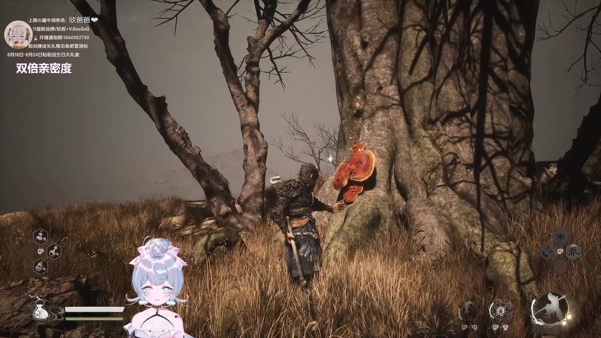 【2024-08-21 01点场】小盒子o3o：小盒子：下午6点魂游新人启动黑悟空~