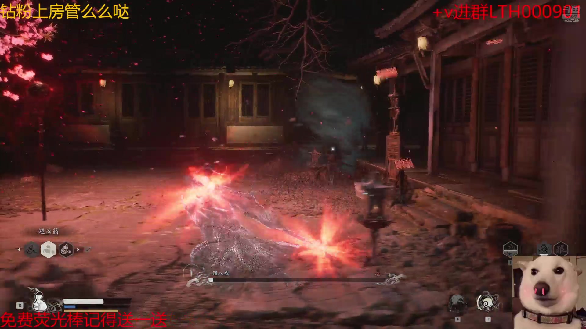 【2024-08-22 19点场】是猫咪吖丶：吗喽来咯 么么哒