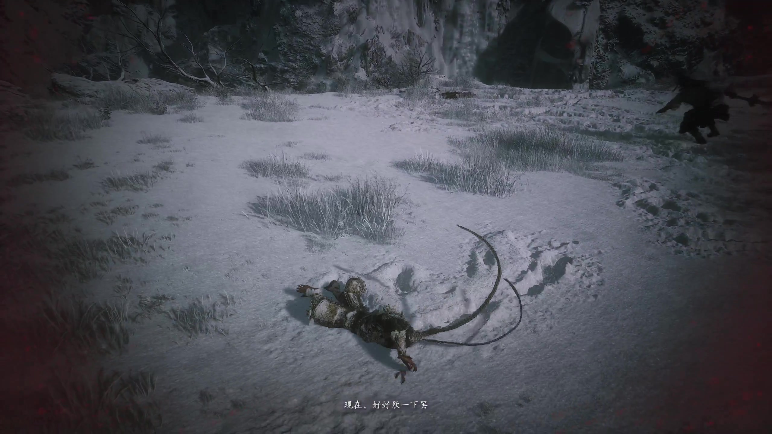 【2024-08-22 13点场】小刘_qq：小刘的直播间，