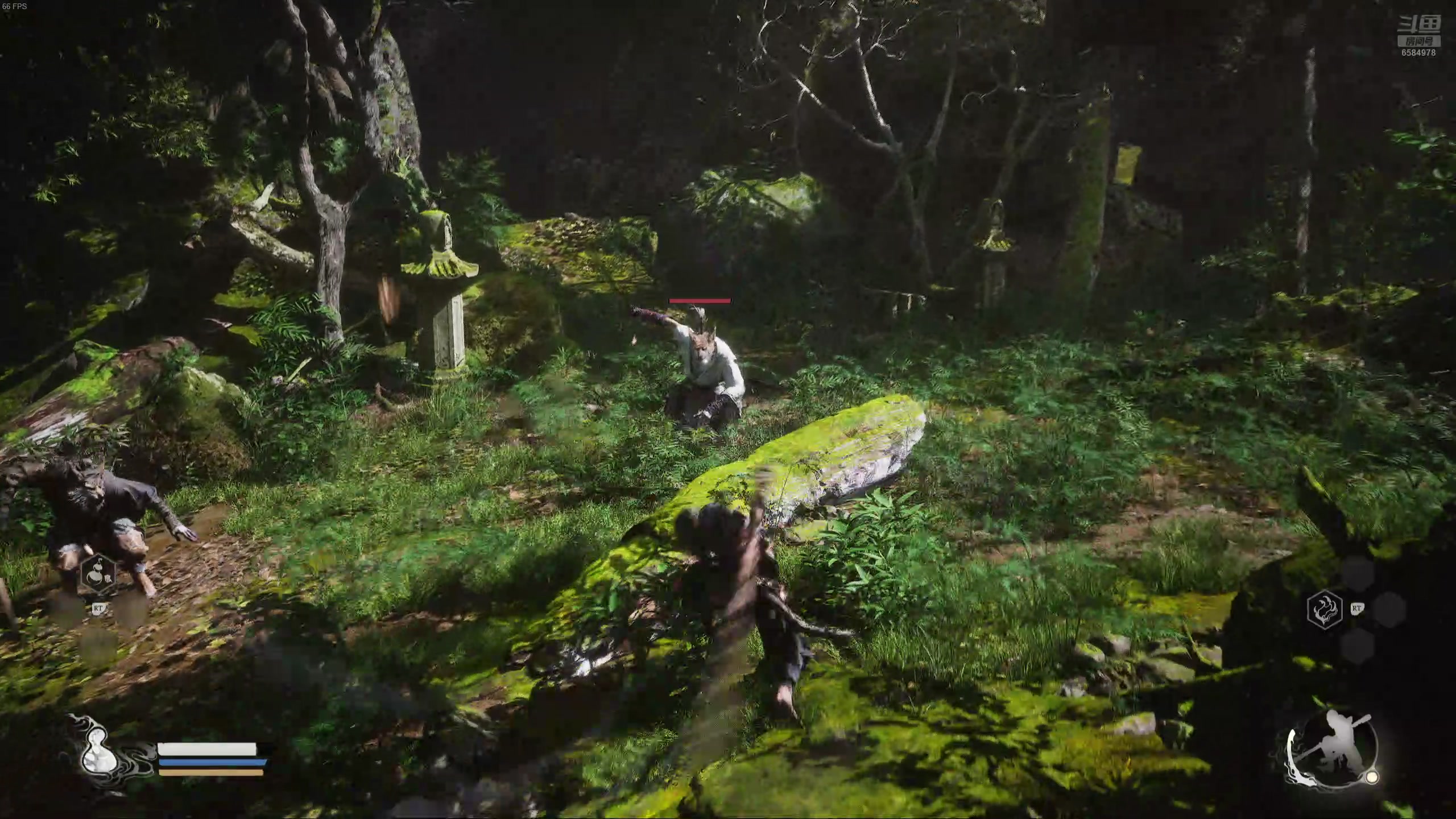 【2024-08-20 19点场】Moyouo：猿神启动！~