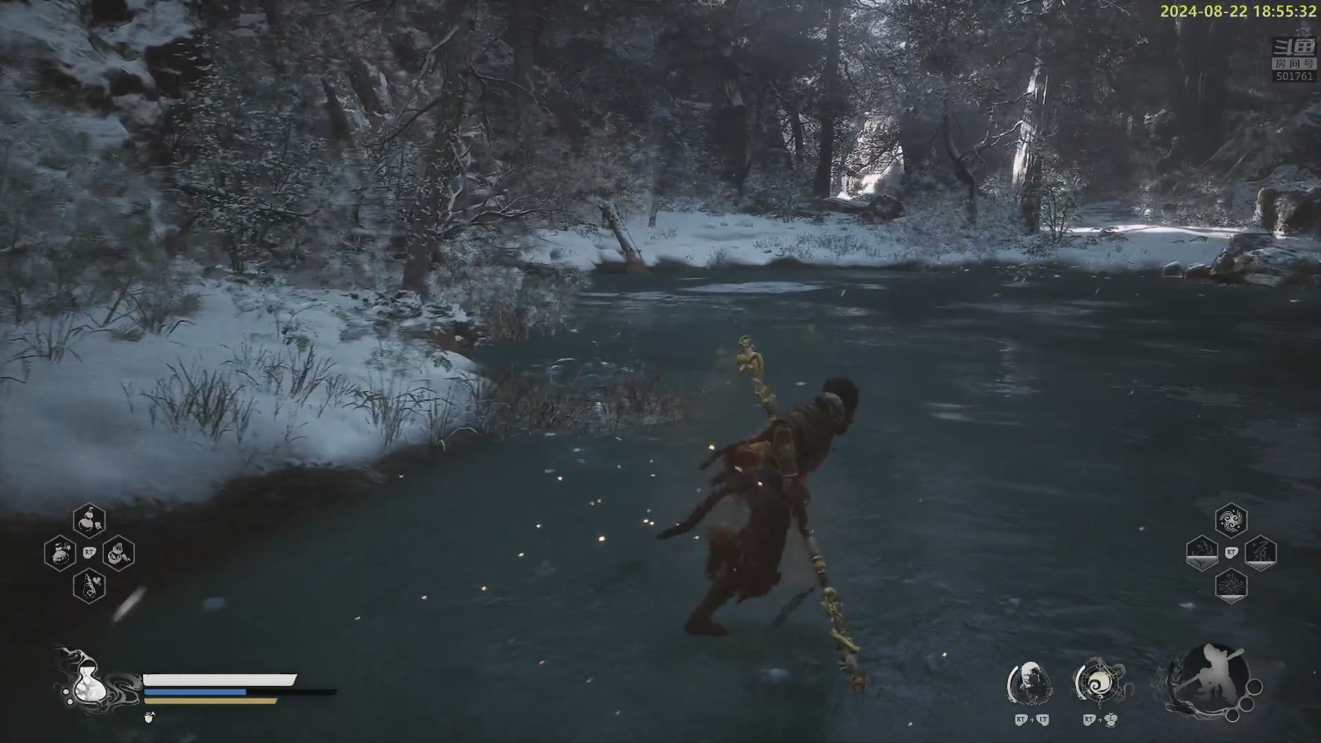 【2024-08-22 18点场】白白的胖胖呀：⭐️我只是一只猴子⭐️