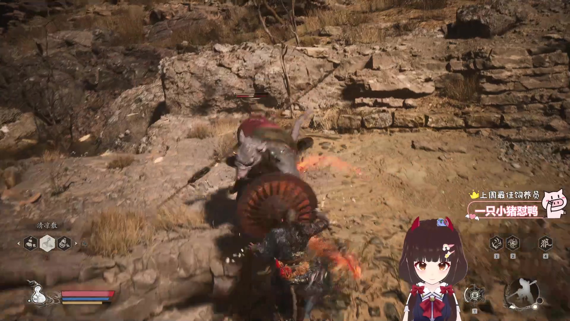 【2024-08-22 18点场】大聪明小小芳：【小奶团】芳天命人在此，吗喽上线~