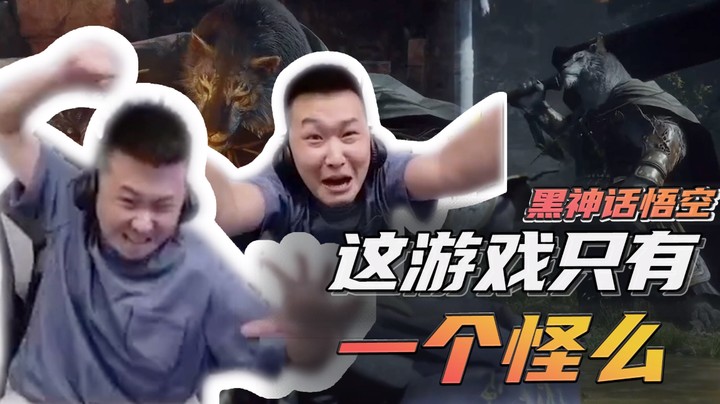 这游戏只有一个怪么....