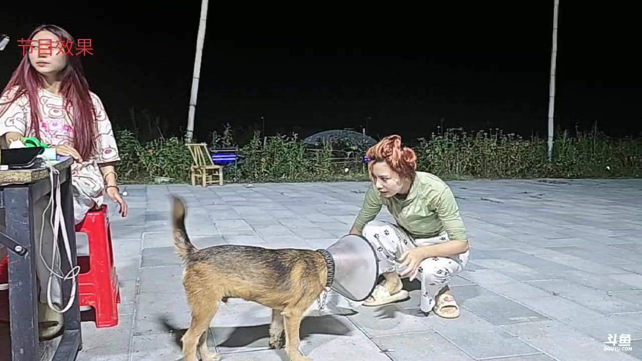 【2024-08-24 01点场】王大谋119：团播继续，12点pk