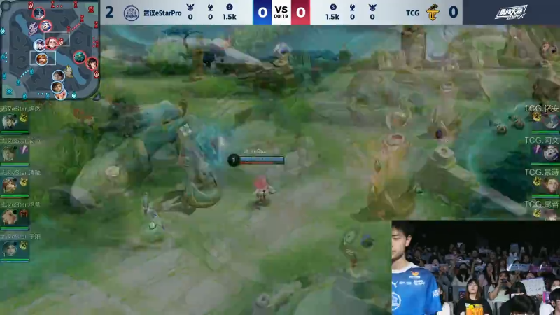 武汉eStarPro VS TCG第3局-2024KPL夏季赛常规赛