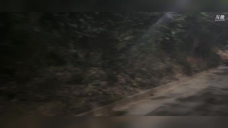 【2024-08-26 02点场】格局OoO：顶级打野天命人大师野区教学！