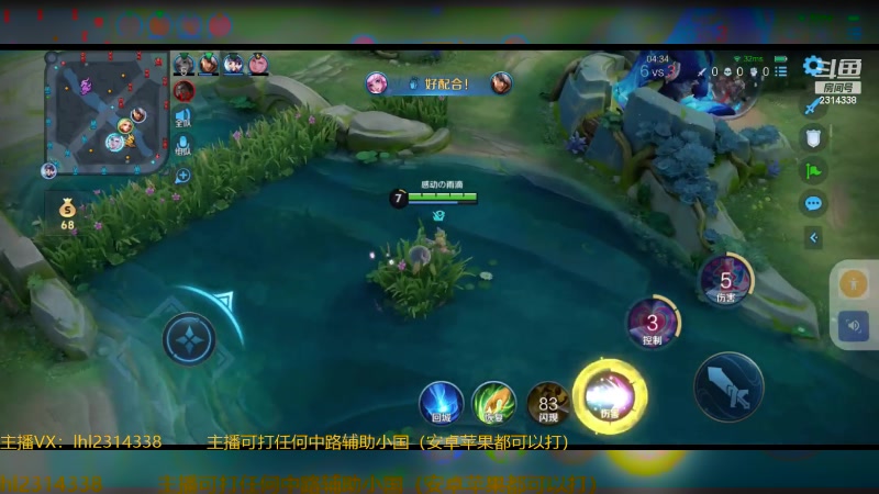 【2024-08-26 21点场】国服老狐狸：国服妲己：双系统可上号打标