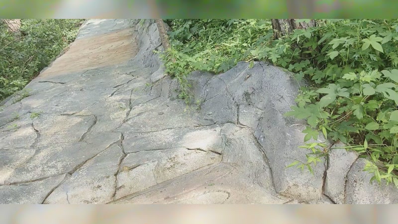 【2024-08-22 14点场】唐6儿：【她们的冒险】高空冒险日