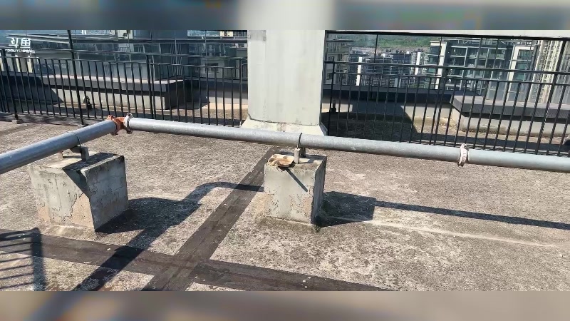 【2024-08-28 16点场】Tony托公子：挑战室外无火煎蛋！