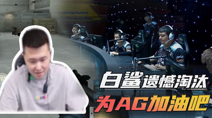 白鲨遗憾淘汰，为AG加油吧