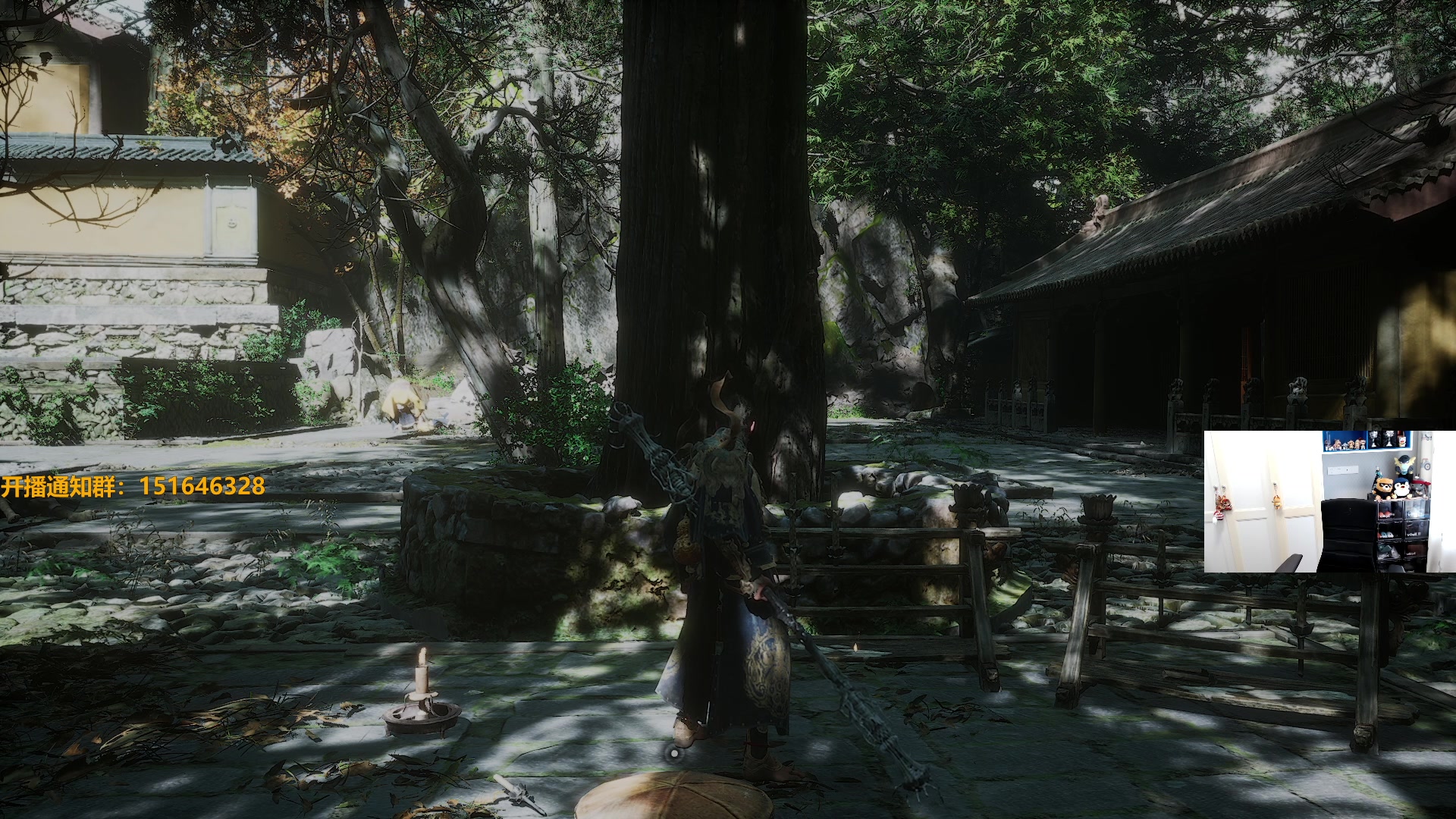 【2024-08-28 15点场】解说雨童：解说雨童：休闲时间到！